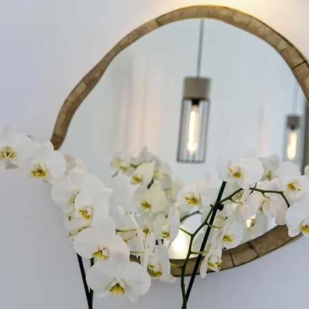 Nida Mykonos Apartahotel 4*