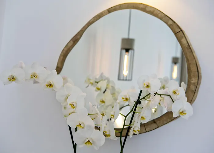 Nida Mykonos شقة فندقية 4*